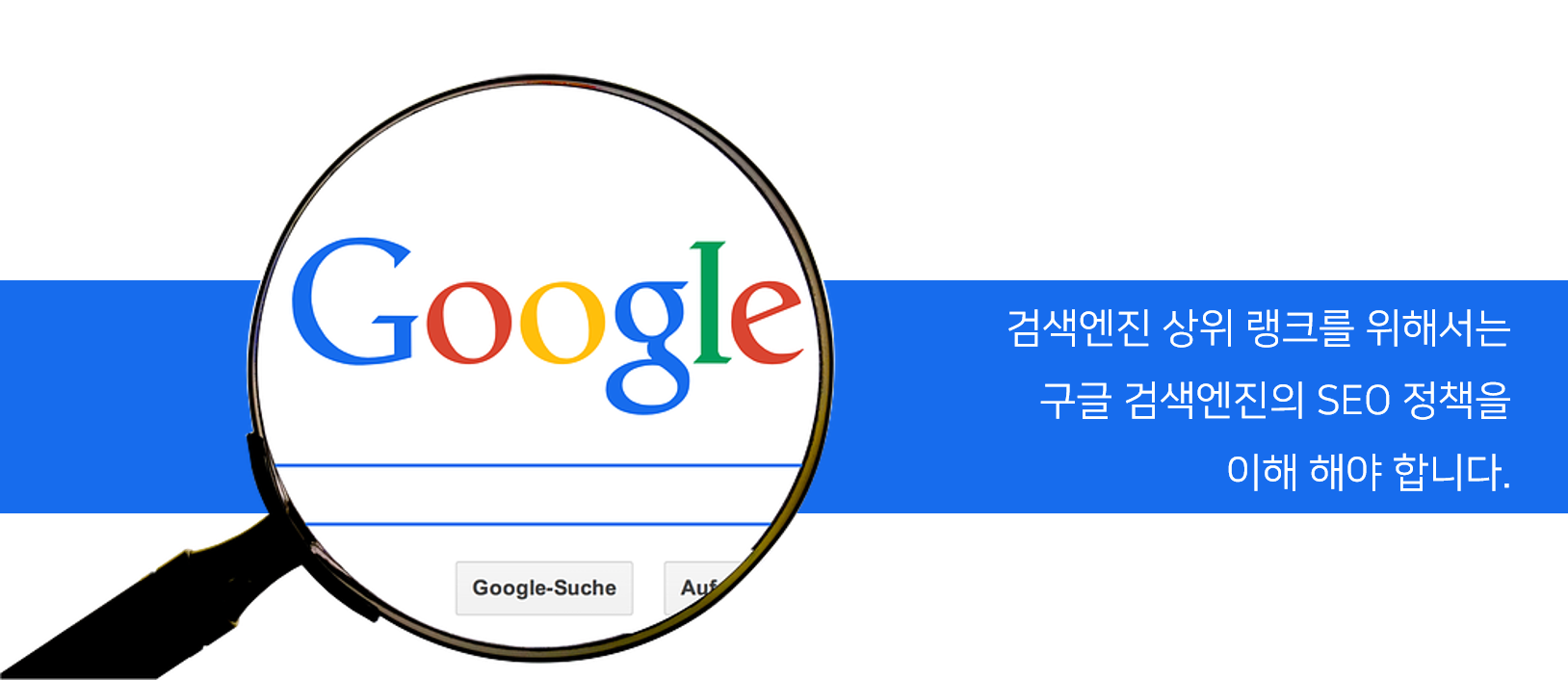 구글 seo 검색엔진분석