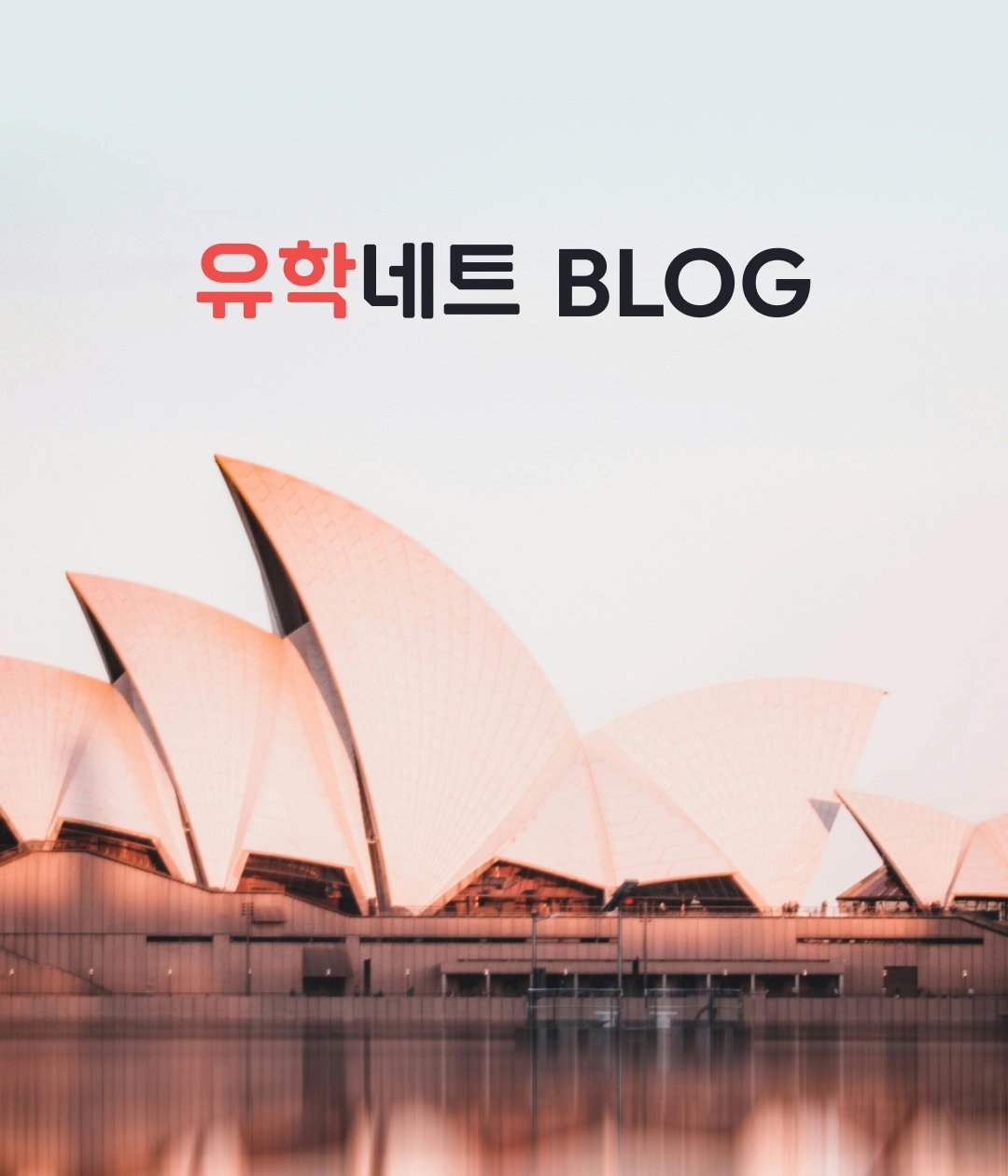 NXT UIUX 포트폴리오 | 웹사이트 반응형 제작 포트폴리오