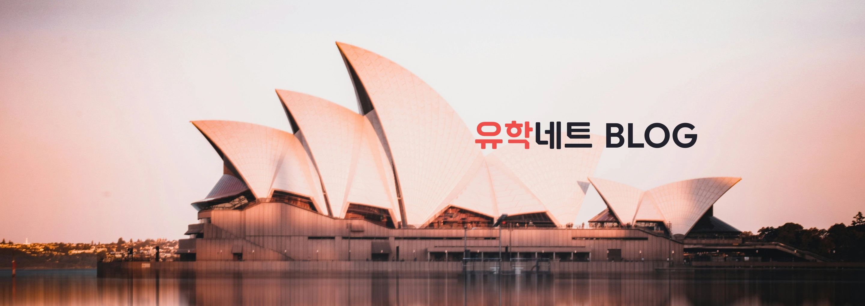 NXT UIUX 포트폴리오 | 웹사이트 반응형 제작 포트폴리오