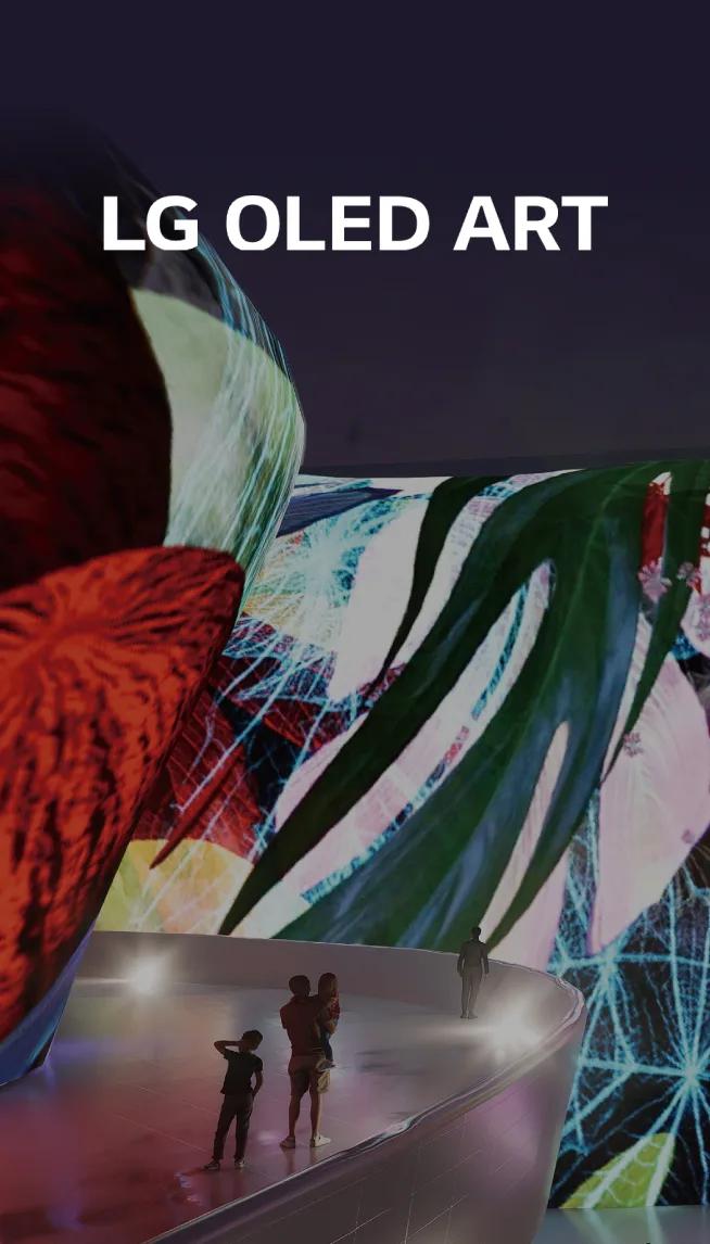 LG OLED ART
