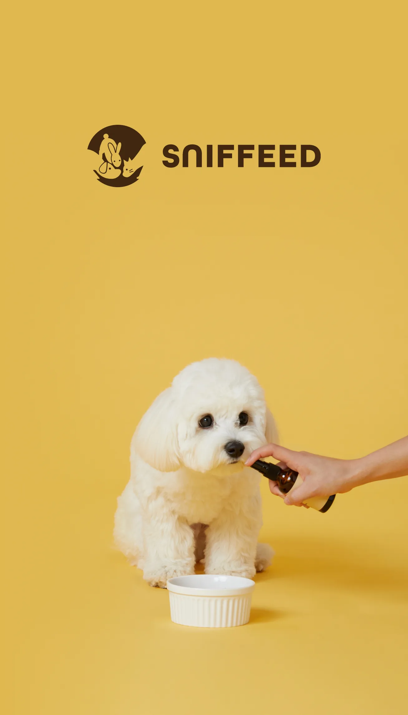 반응형홈페이지제작-스니피드 브랜드 웹사이트 제작